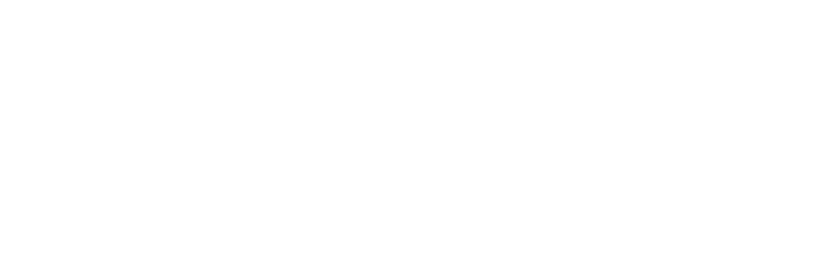 Vigsø logo